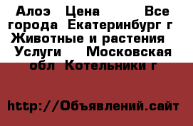 Алоэ › Цена ­ 150 - Все города, Екатеринбург г. Животные и растения » Услуги   . Московская обл.,Котельники г.